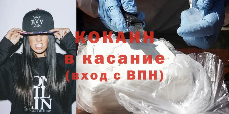 купить наркотик  Заозёрск  Cocaine Fish Scale 